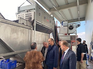 Cevizli Bahçe’nin 2021 Ceviz Hasadı Geniş Katılımlı Bir Etkinlikle Gerçekleştirildi