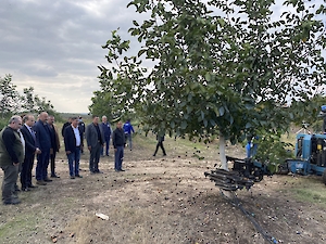 Cevizli Bahçe’nin 2021 Ceviz Hasadı Geniş Katılımlı Bir Etkinlikle Gerçekleştirildi