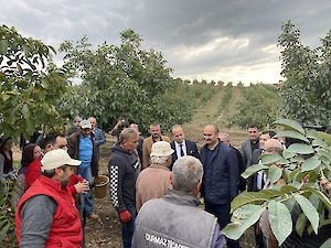 Cevizli Bahçe’nin 2021 Ceviz Hasadı Geniş Katılımlı Bir Etkinlikle Gerçekleştirildi