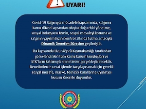 Dinamik Denetim Süreci