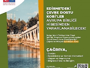 Ab Hibe İmkanları ve Programları !!!